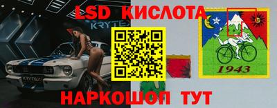 spice Камень-на-Оби