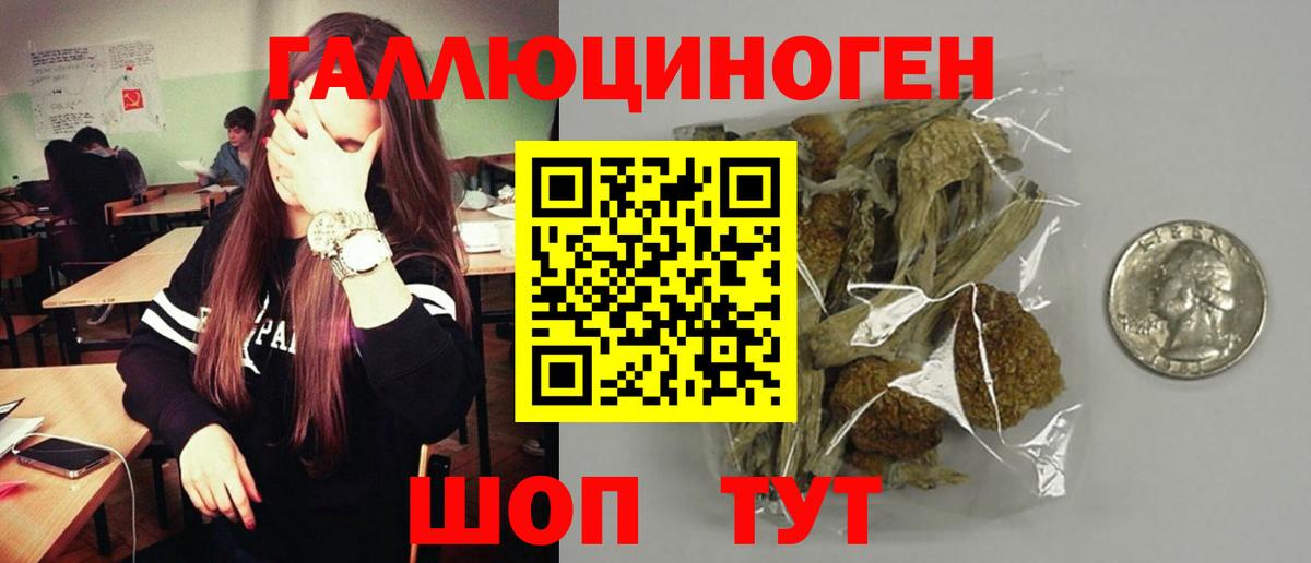 Псилоцибиновые грибы ЛСД  где купить наркоту  Галлюциногенные грибы мухоморы  Ижевск  Вход с VPN 